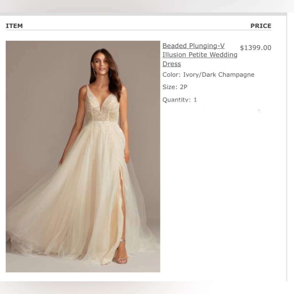 Beaded Plunging V Illusion Wedding Dress - Ivory (Size 2P)